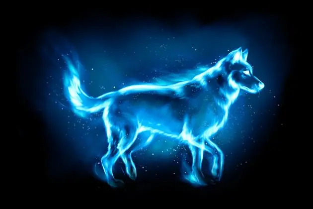 Harry Potter Patronus Test Harry Potter Patronus Test